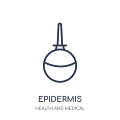 Epidermis icon. Epidermis linear symbol design from Health and Medical collection.