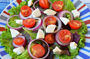 Tomato salad with lettuce, feta cheese and mustard and garlic dressing. Top view