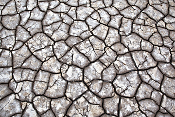 Gray dry soil or cracked ground texture background. Takyr