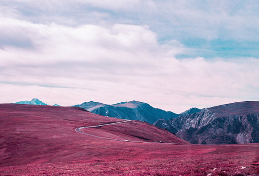 Curvy Mountain Road in the Mountains of Colorado surrounded by purple grass