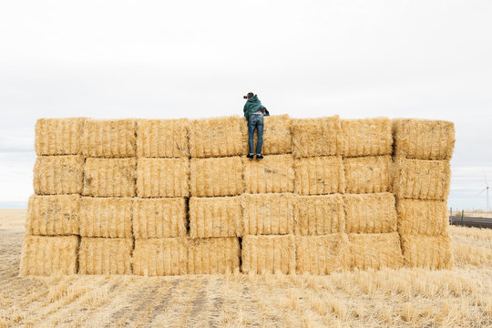 Young adult male climbing on stacks of hay in recently plowed field 