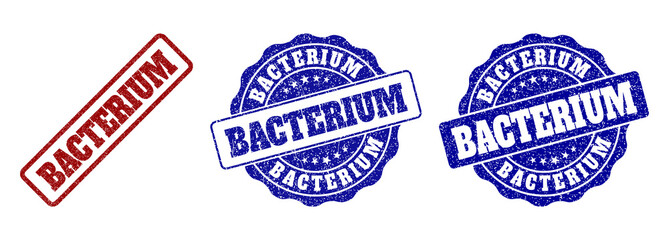 Obraz premium BACTERIUM scratched stamp seals in red and blue colors. Vector BACTERIUM labels with dirty surface. Graphic elements are rounded rectangles, rosettes, circles and text labels.