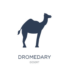 Dromedary icon. Trendy flat vector Dromedary icon on white background from Desert collection