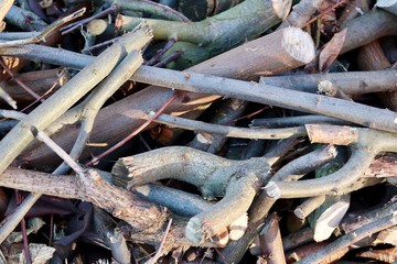Wood for fire