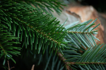 Christmas decoration, red berries and pine