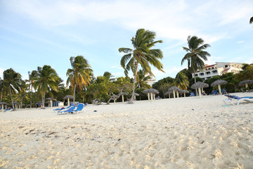 Obraz na płótnie Canvas Green palm trees on a white sand beach and loungers. Summer concept background - Sea or Ocean Beach