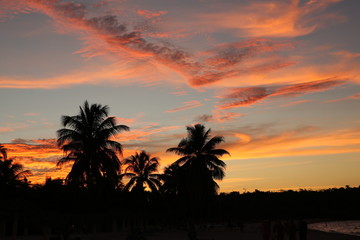 Obraz premium bright sunset colors on a tropical beach with palm trees Summer concept background - Sea or Ocean Beach