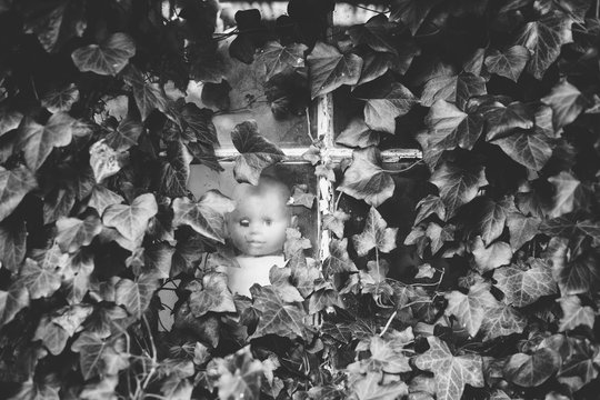 Black and white image of a creepy baby doll at the window of an ivy clad abandoned building.
