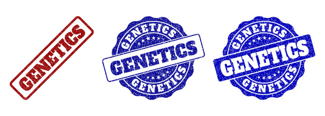 GENETICS scratched stamp seals in red and blue colors. Vector GENETICS labels with draft texture. Graphic elements are rounded rectangles, rosettes, circles and text labels.