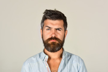 Serious bearded man in casual clothes. Fashion model with stylish hair. Serious man with long beard...