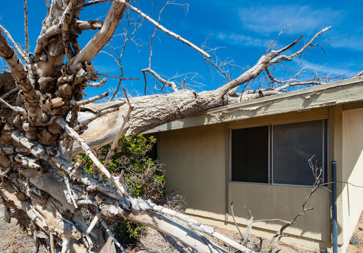 Abandoned And Derelict Housing Units Of Decommissioned George Air Force Base In Victorville, California