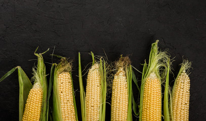 Fresh corn on cobs in plate over dark stone table. Food concept. Copy space top view