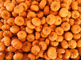 Pumpkins