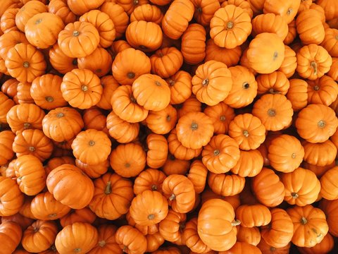 Pumpkins