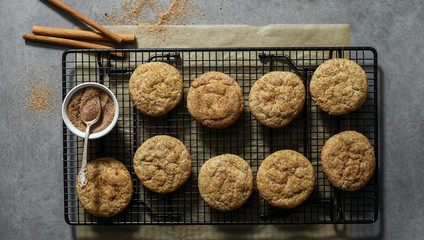 Closeup of Snickerdoodle cookies on a tray