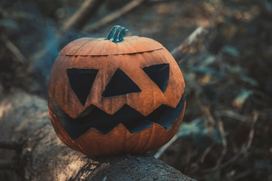 Pumpkin with smoke in the forest
