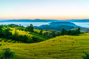 Fototapeta na wymiar Beautiful landscape of sunrise over the green paddy field