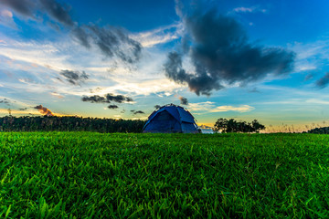 Camping blue tent on green grass and beautiful sunset.