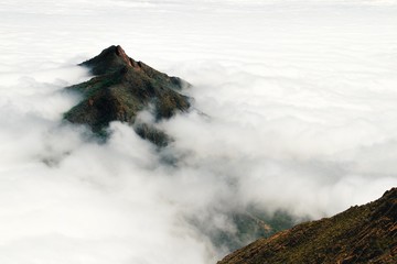 A mountain peak rises above a thick layer of clouds in Chile's Parque Nacional La Campana - 237292210