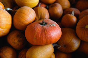 Organic pumpkins