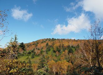 Japan Nagano Ryuou mountain park