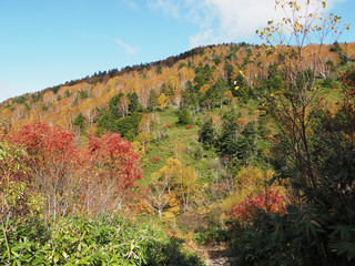 Japan Nagano Ryuou mountain park