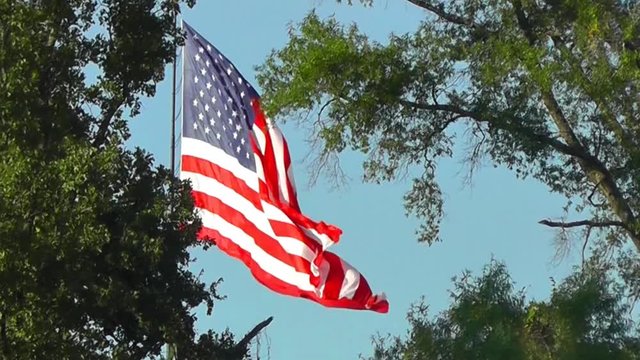 Large US United States Flag Flies in the Trees with a Blue Sky Background