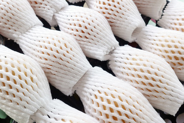 fresh eggs put in the prevent from bumping prepare for transportation