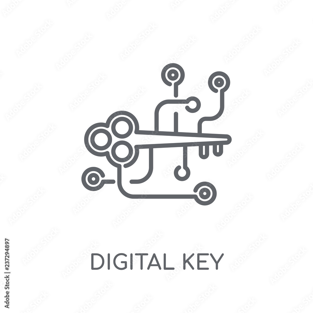 Aufkleber digital key linear icon. modern outline digital key logo concept on white background from cryptocurr