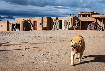 Taos Pueblo with dog 