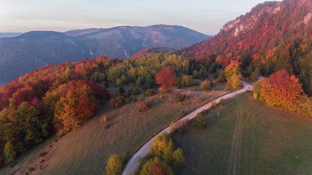 Colourful forest at fall