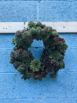 Wreath made of succulents.