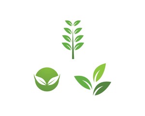  Leaf Logo Template