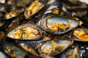 Closeup plate of cooked mussels with garlic.
