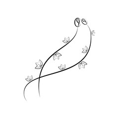 decorative flowers, hand draw illustration