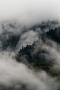 Fog spilling over a mountainside covered in trees