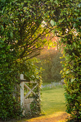 Garden Gate and Path