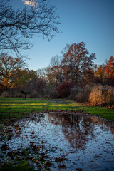 Water reflections of fall colors