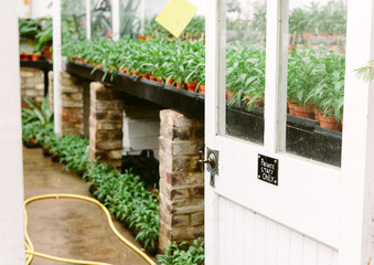 Looking into a glasshouse> There is a sign on the door saying that the space is private.


