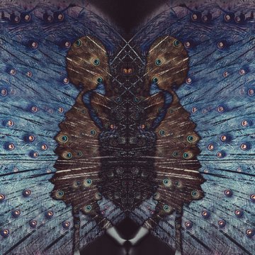 Peacock kaleidoscope