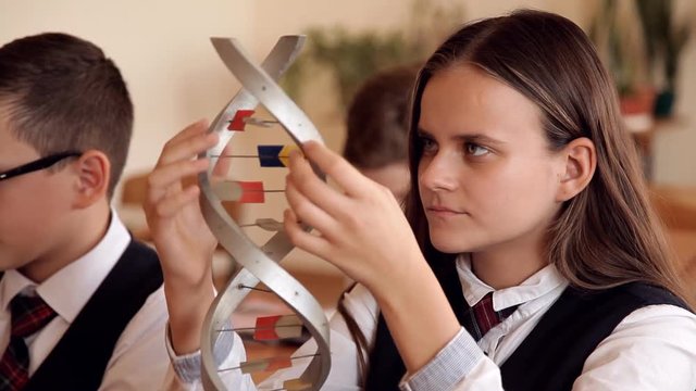 schoolchildren in school uniform are studying the layout of dna sitting in the classroom