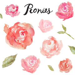 Watercolor Peonies On Isolated White Background with Hand Painted Leaves © Angie Makes