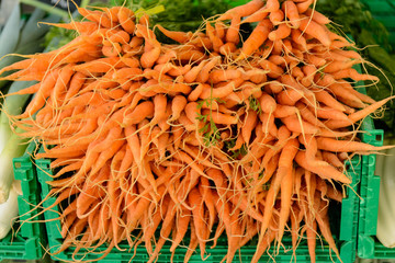 Carrots
