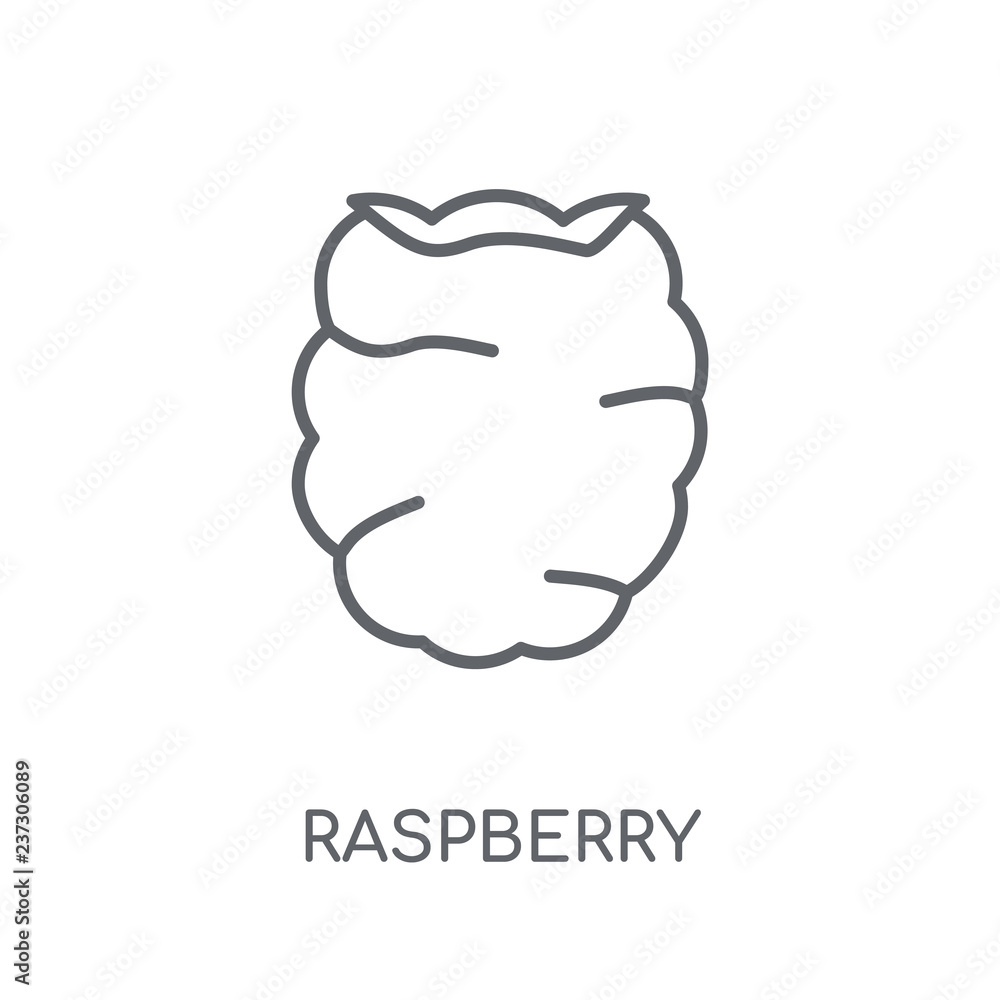 Poster raspberry linear icon. modern outline raspberry logo concept on white background from fruits and veg