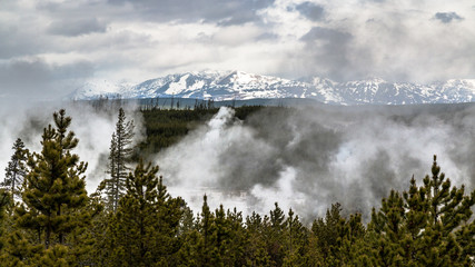 Landscape view of Yellowstone National Park (Wyoming)