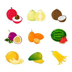 Tropical exotic fruits set. Vector illustration cartoon flat icon collection isolated on white.