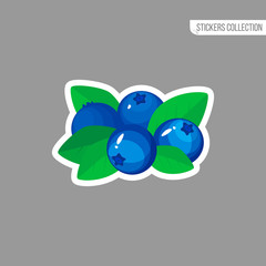 Cartoon fresh blueberries icon isolated sticker