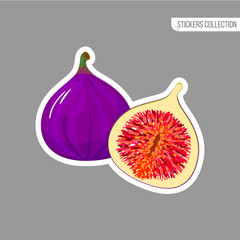 Cartoon fresh fig isolated sticker
