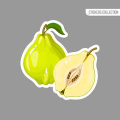 Cartoon fresh quince fruit isolated sticker