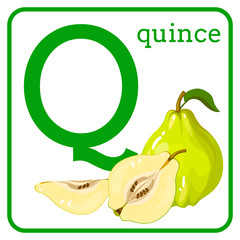 An alphabet with cute fruits, Letter Q quince